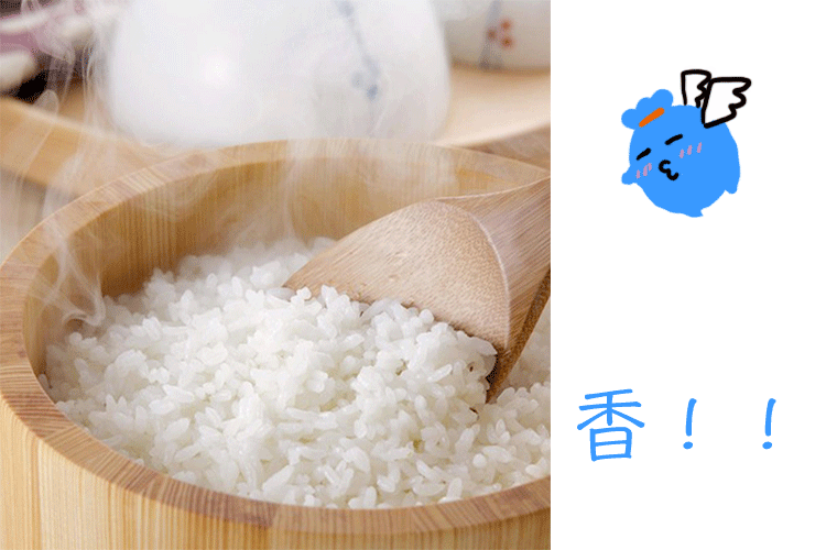 前方请注意!5000斤香喷喷的东北大米正奔赴你家!